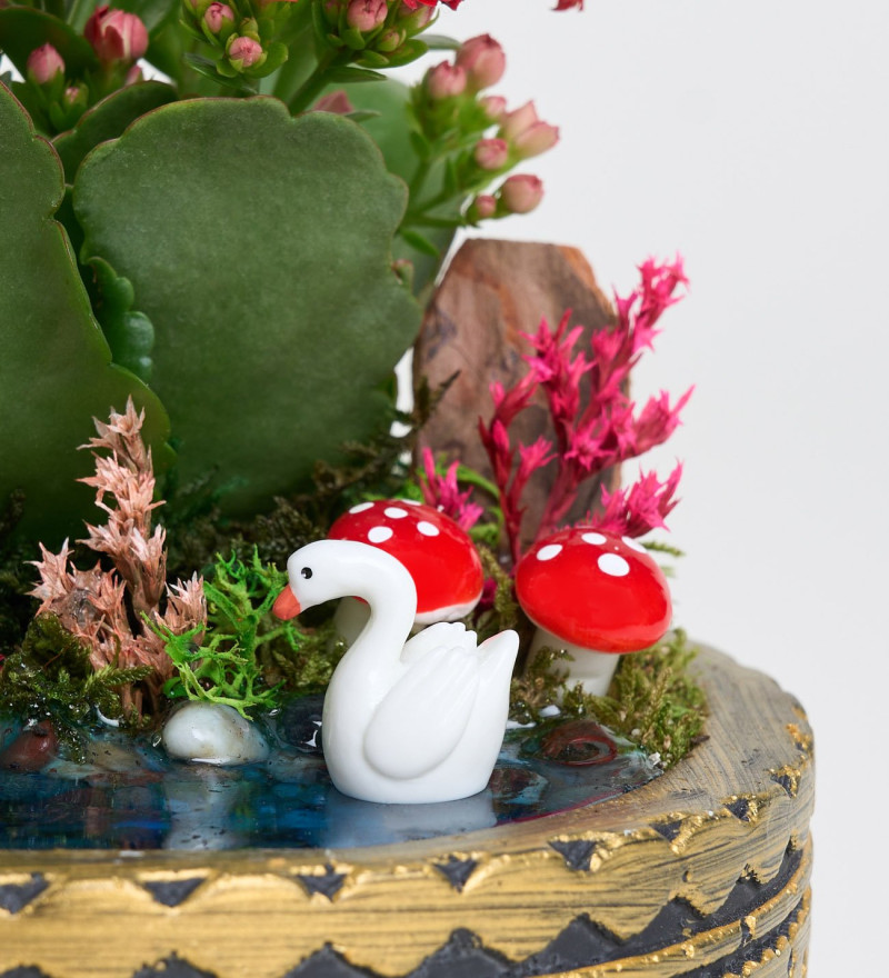 Ring Saksıda Kırmızı Kalanchoe Teraryum